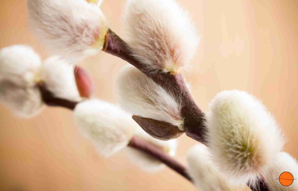 Fastenzeit des Loslassens