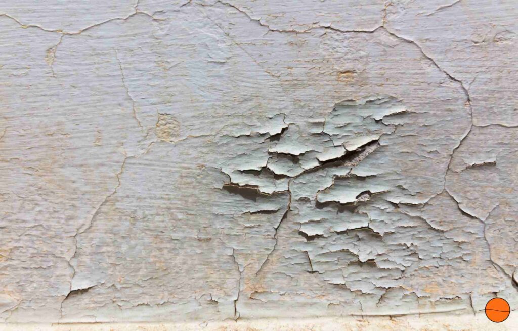 Wabi-Sabi. Vergänglichkeit ist schön.
